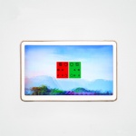 3D Polarized LCD Vision Chart