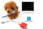 BM4100 Veterinary Patient Monitor